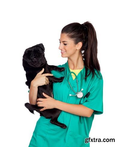 Pet Doctor - 22x JPEGS + 3 EPS