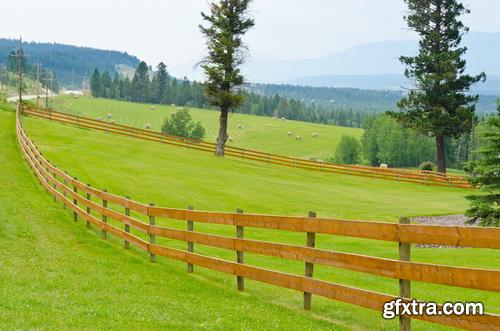 Amazing SS - Grass on wood floor background, 25xJPGs