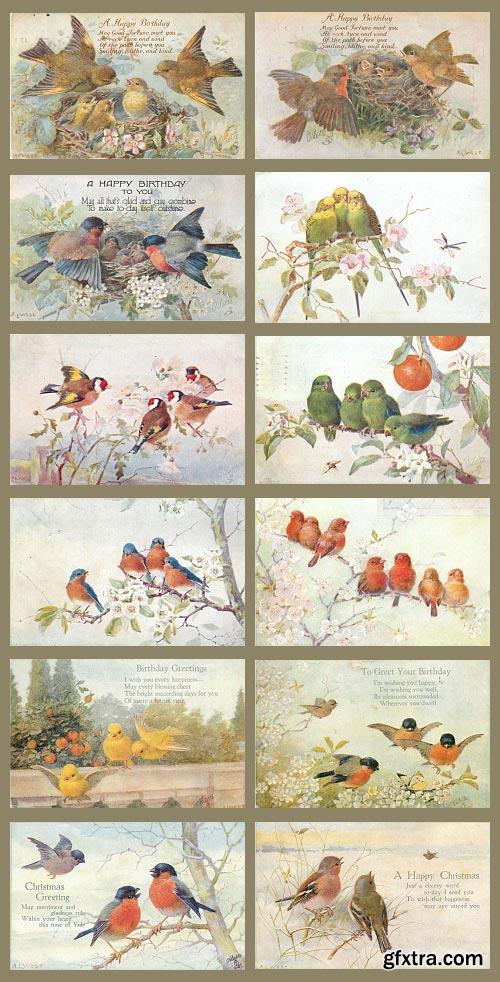 Vintage Birds Celebration Cards 88xJPGs