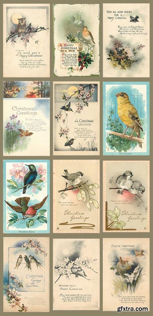 Vintage Birds Celebration Cards 88xJPGs