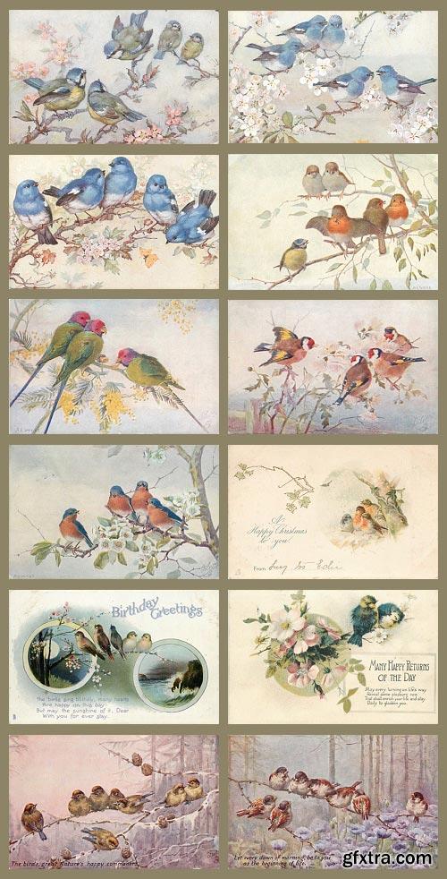 Vintage Birds Celebration Cards 88xJPGs