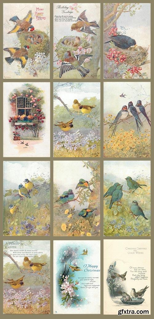 Vintage Birds Celebration Cards 88xJPGs