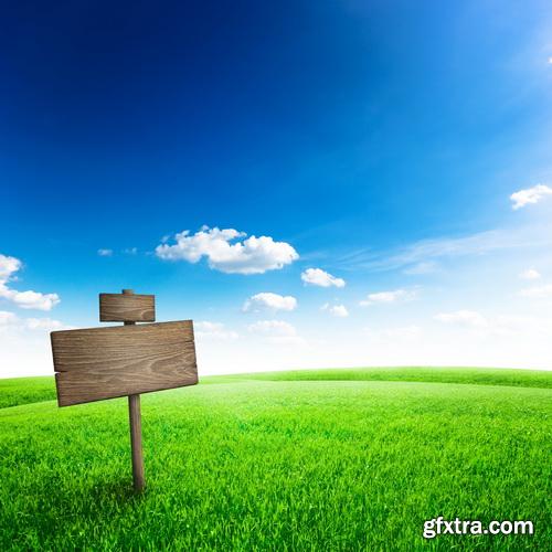 Amazing SS - Grass on wood floor background 2, 25xJPGs