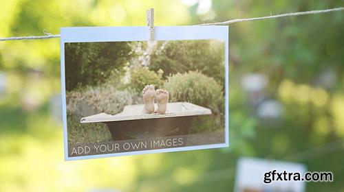 Videohive Photo Gallery in a Sunny Orchard