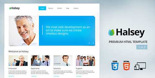 ThemeForest - Halsey v1.0 - Premium corporate template - FULL