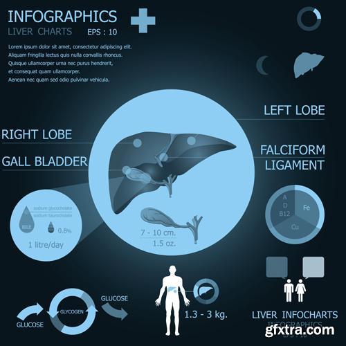 Collection of infographics vol.20