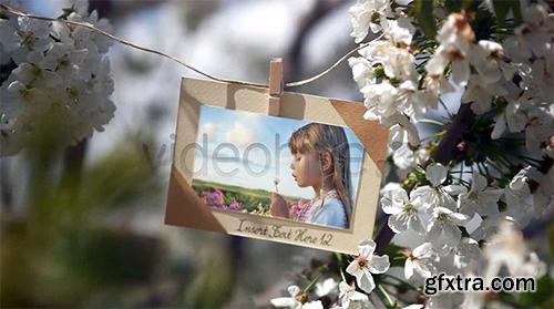 Videohive VideoHive Photos Hanging in an Orchard 4723047