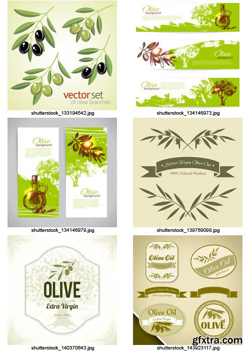 Amazing SS - Collections of Olive Elements 4, 25xEPS