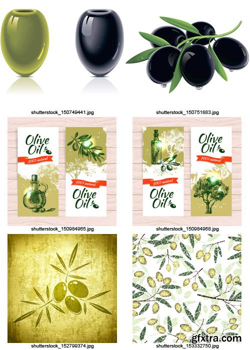 Amazing SS - Collections of Olive Elements 4, 25xEPS