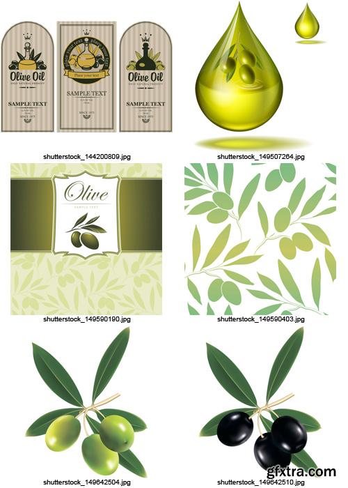 Amazing SS - Collections of Olive Elements 4, 25xEPS