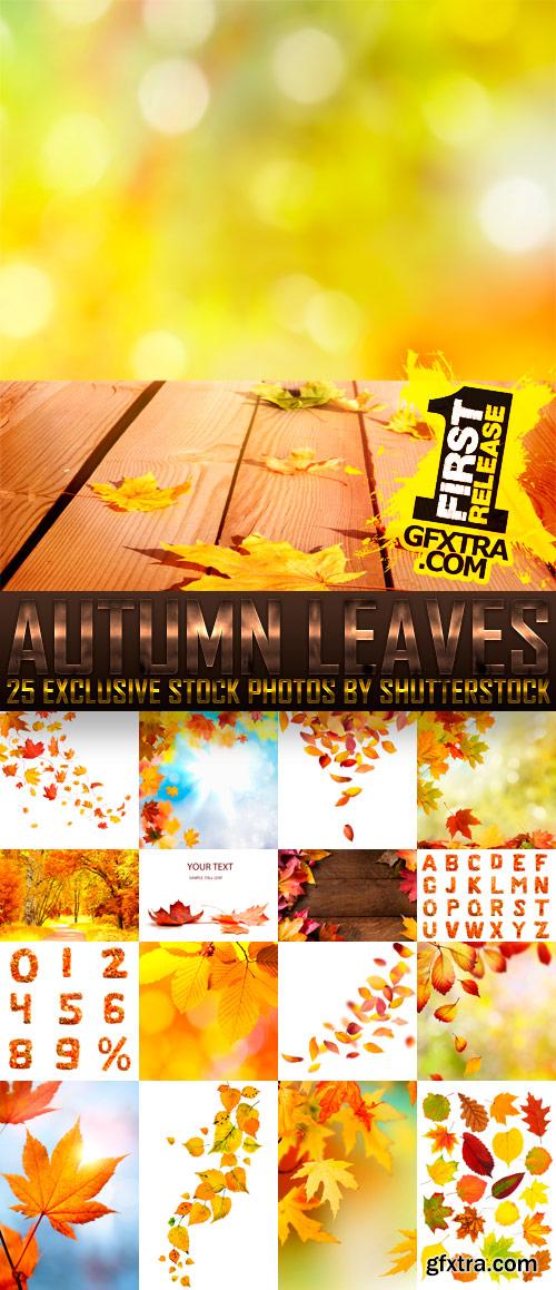 Amazing SS - Autumn Leaves, 25xJPGs