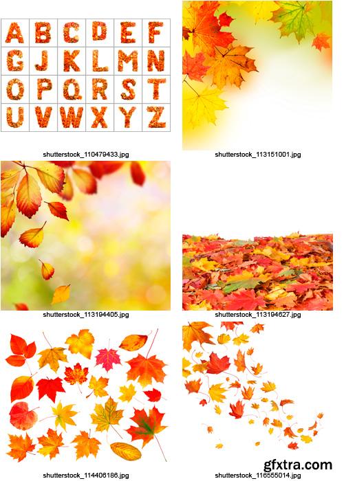 Amazing SS - Autumn Leaves, 25xJPGs