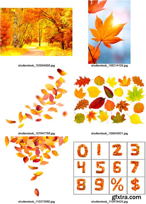 Amazing SS - Autumn Leaves, 25xJPGs