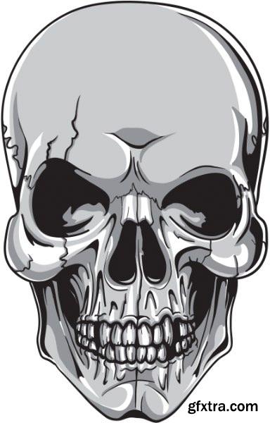 Skulls Pack 1 (Vector - StockPhoto)