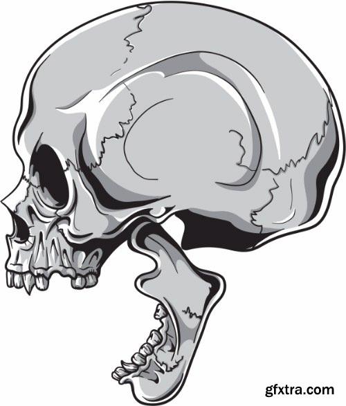 Skulls Pack 1 (Vector - StockPhoto)