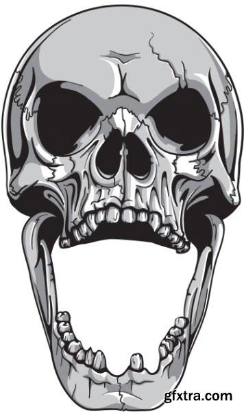 Skulls Pack 1 (Vector - StockPhoto)