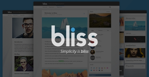 ThemeForest - Bliss v1.0 - Personal Minimalist WordPress Blog Theme