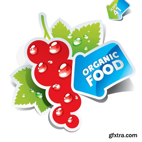 Organic Food Sticker - 45 Vector