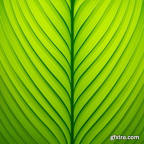 Amazing SS - Green leaves background 3, 25xEPS