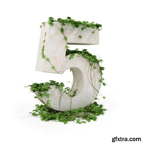 3D Alphabet: Letters & Numbers Covered with Ivy 36xJPGs