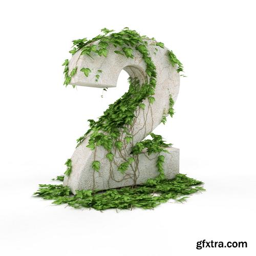 3D Alphabet: Letters & Numbers Covered with Ivy 36xJPGs