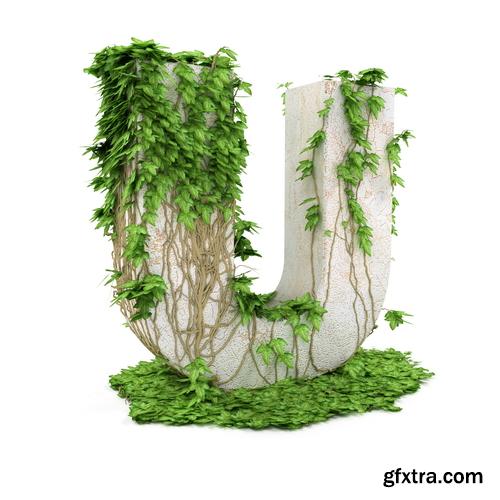 3D Alphabet: Letters & Numbers Covered with Ivy 36xJPGs