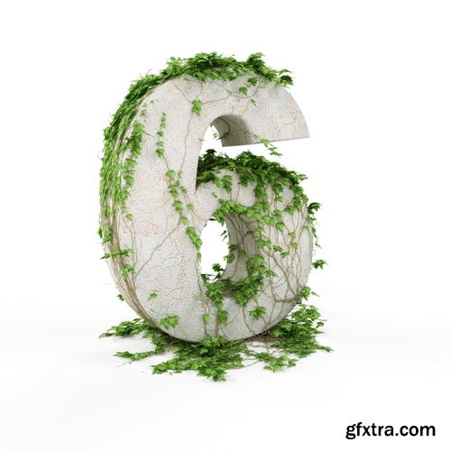 3D Alphabet: Letters & Numbers Covered with Ivy 36xJPGs