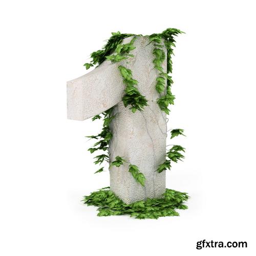 3D Alphabet: Letters & Numbers Covered with Ivy 36xJPGs