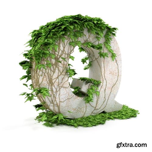 3D Alphabet: Letters & Numbers Covered with Ivy 36xJPGs