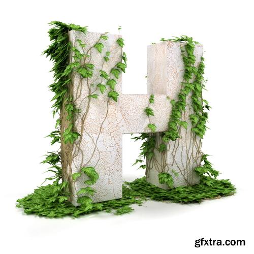 3D Alphabet: Letters & Numbers Covered with Ivy 36xJPGs