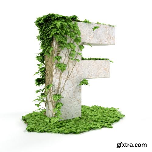 3D Alphabet: Letters & Numbers Covered with Ivy 36xJPGs