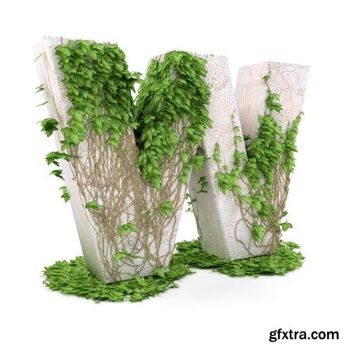 3D Alphabet: Letters & Numbers Covered with Ivy 36xJPGs