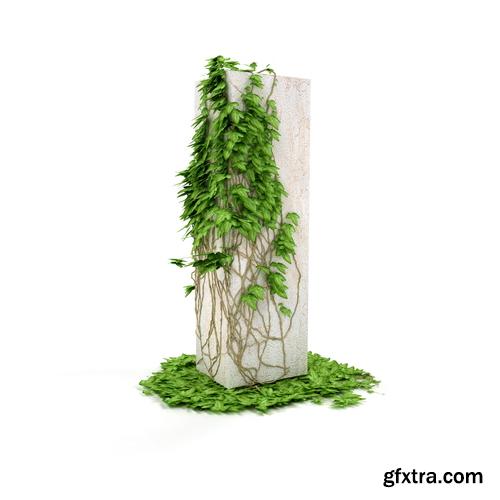 3D Alphabet: Letters & Numbers Covered with Ivy 36xJPGs