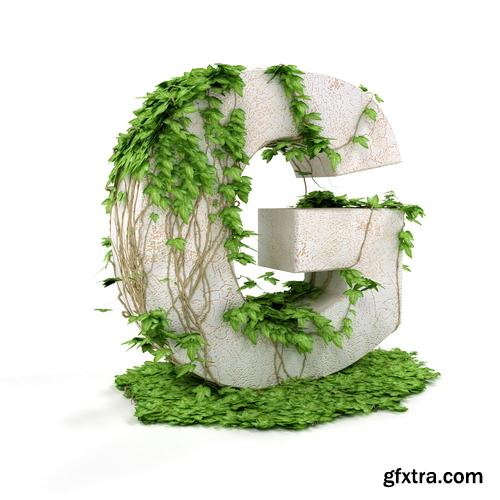 3D Alphabet: Letters & Numbers Covered with Ivy 36xJPGs