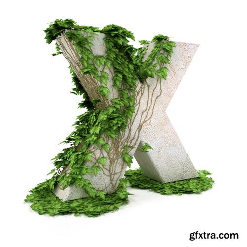 3D Alphabet: Letters & Numbers Covered with Ivy 36xJPGs