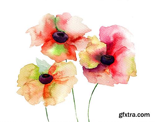 Beautiful watercolor seamless patterns of flowers - PhotoStock