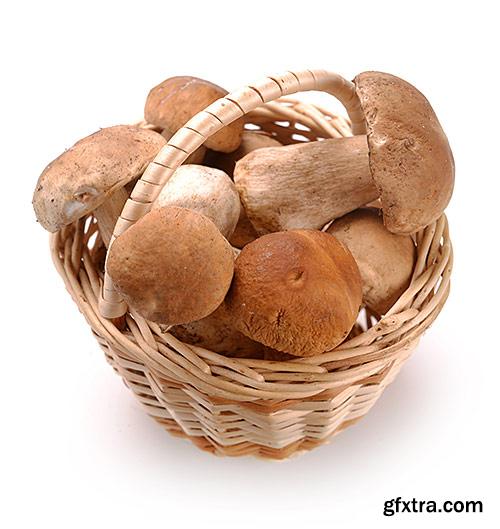 Mushrooms, boletes, delicatessen - PhotoStock