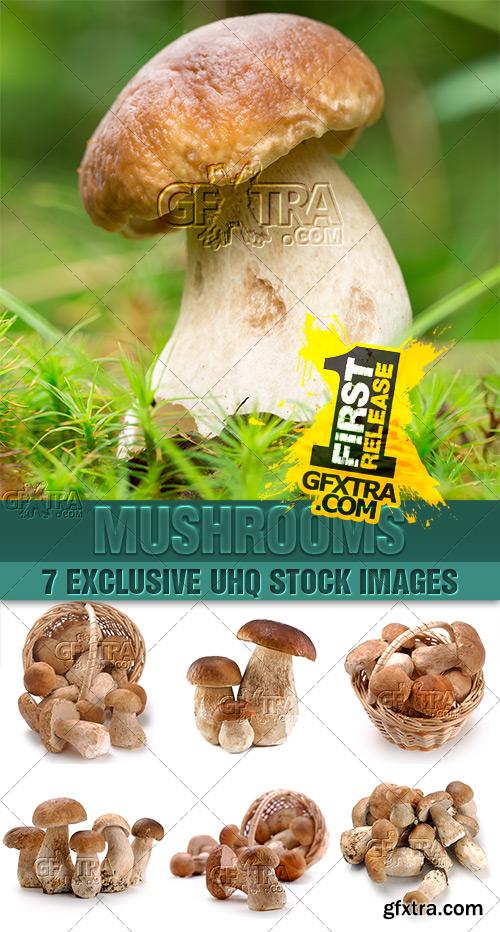 Mushrooms, boletes, delicatessen - PhotoStock