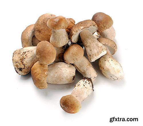 Mushrooms, boletes, delicatessen - PhotoStock