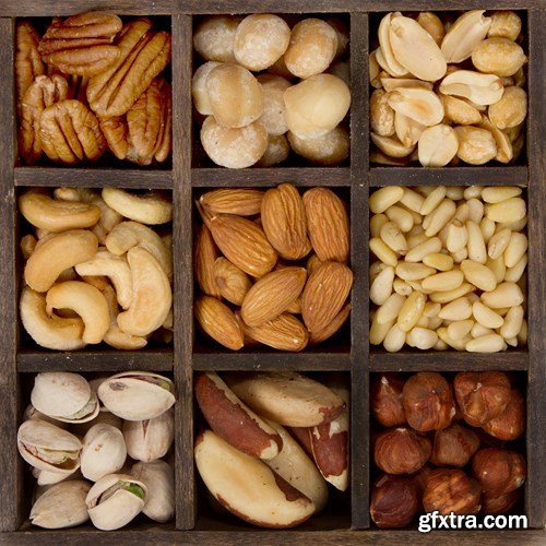 Nuts Collection - 25 JPEG