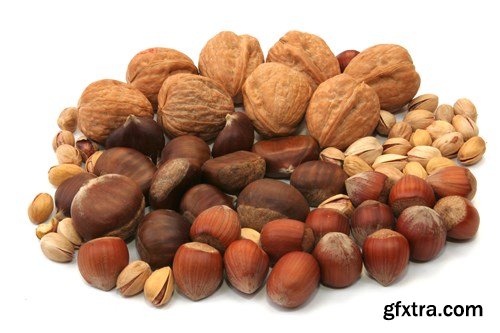 Nuts Collection - 25 JPEG