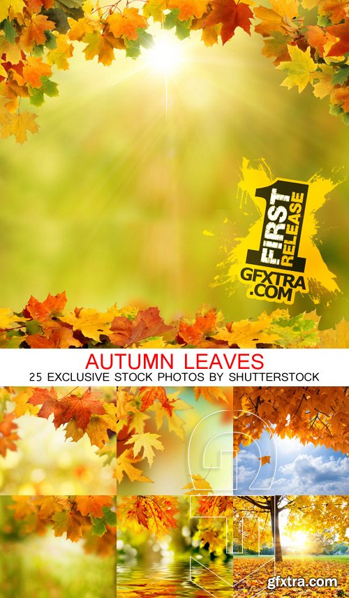 Amazing SS - Autumn leaves, 25xJPGs