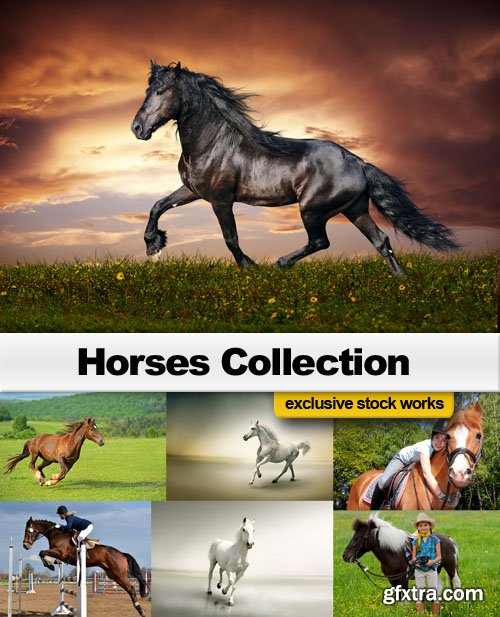 Horses Collection - 25 JPEG