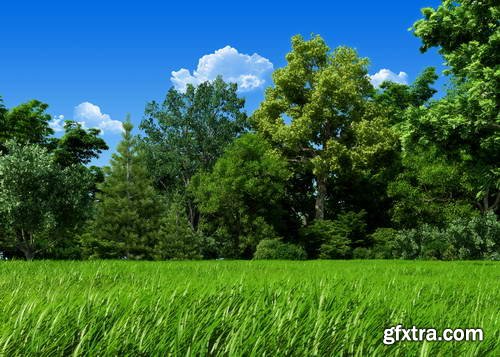 Green Meadow Fields 25xJPGs