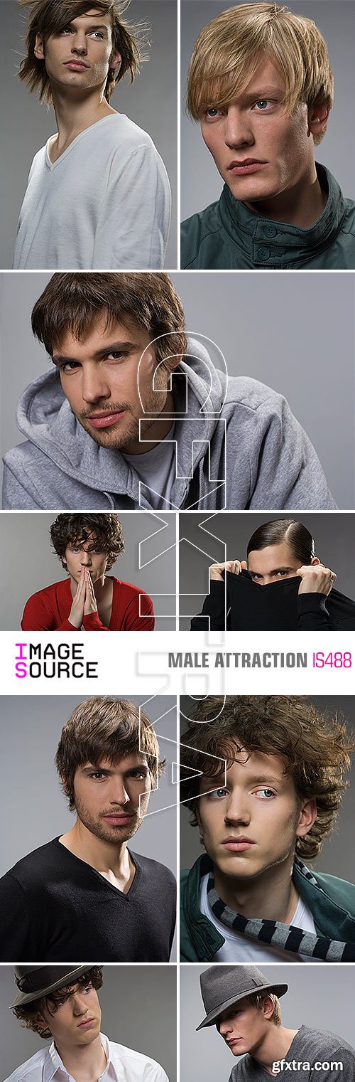 Image Source IS488 Male Attraction