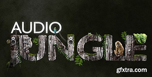 AudioJungle Pack