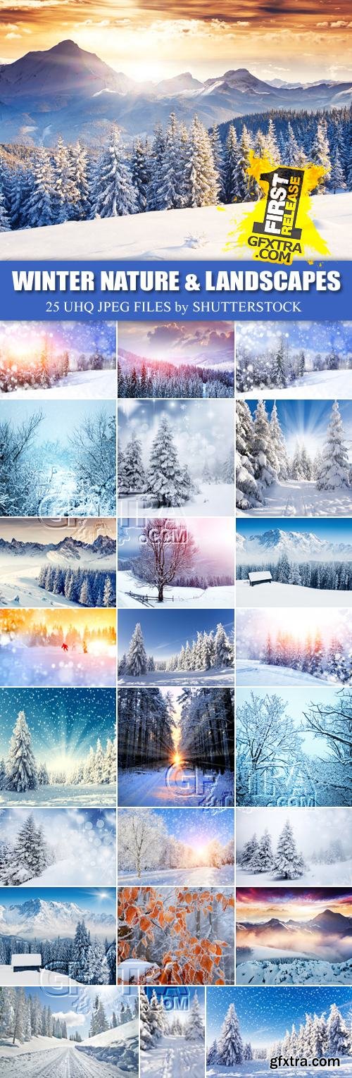 Stock Photo - Winter Nature & Landscapes