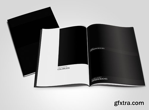 Magazine Mock-up Template