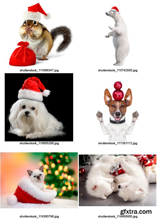 Amazing SS - Christmas Animals, 25xJPGs