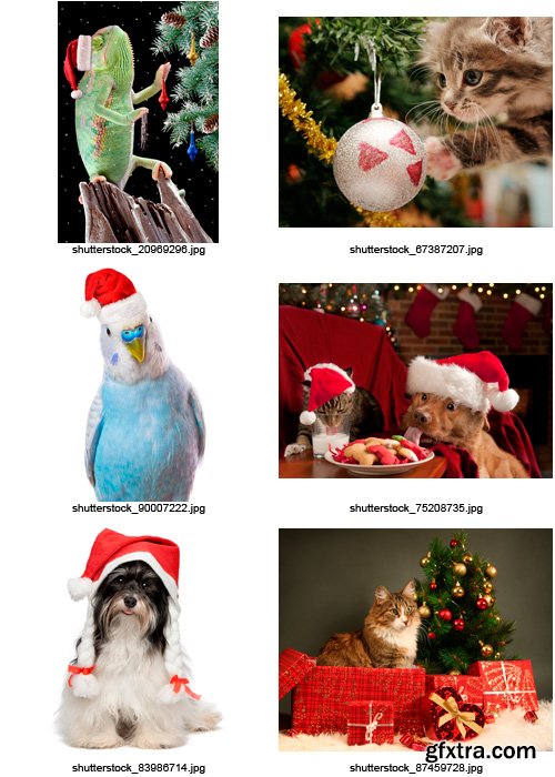 Amazing SS - Christmas Animals, 25xJPGs